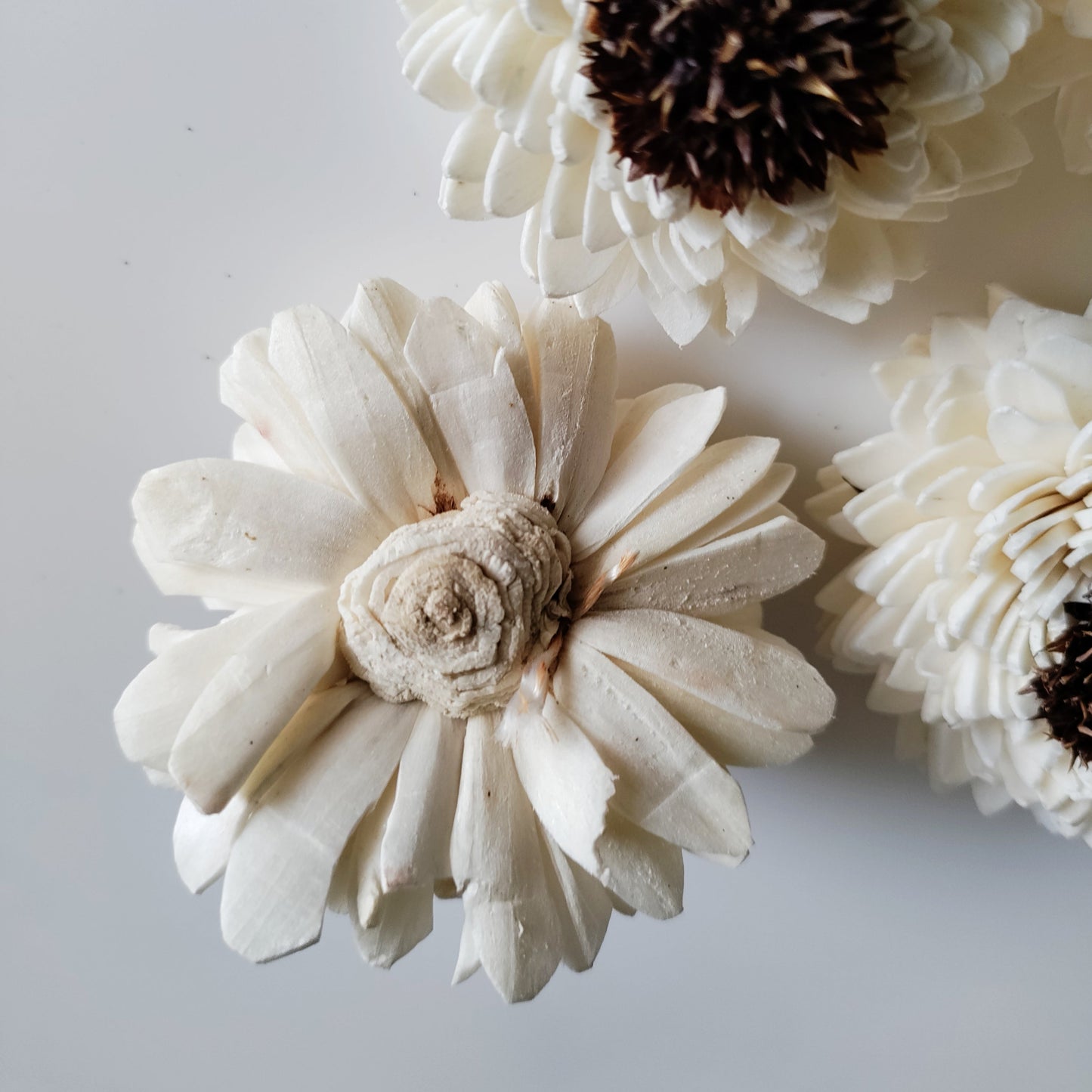 White Wedding Bunch (40 Flowers, Wire Stem included)