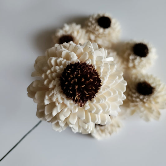 White Sun Zinnia Flowers (Wire Stem included)