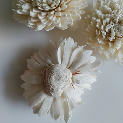 Meadow Bunch (24 Flowers, Wire Stem included)