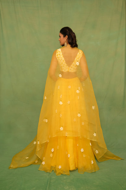 Yellow Mogra Handpainted Lehenga