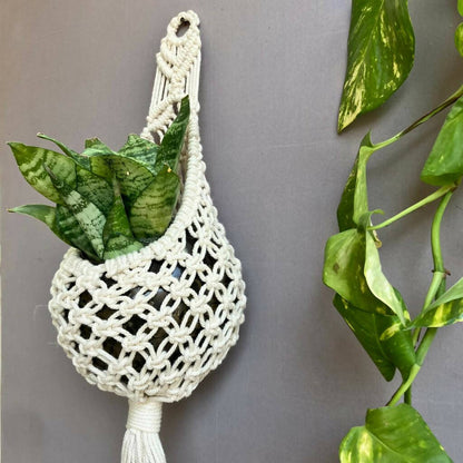 Mesh Plant Hanger