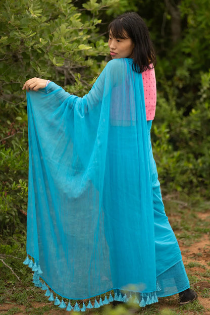 Echo of the Mountains Saree