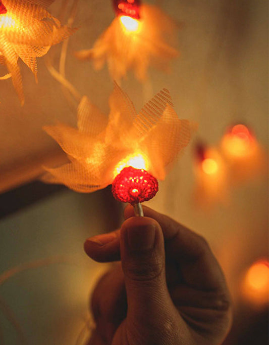 LED String Lights Orange Petals with Hearts