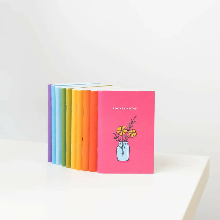 Illustrated Pocket Notebooks / Set of 10