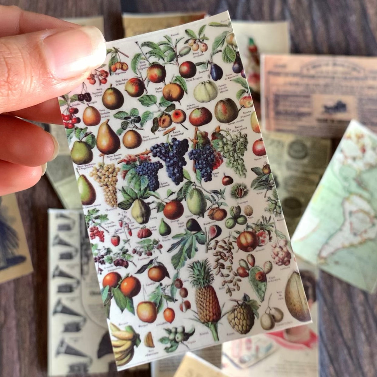 Vintage Vellum Sticker Booklet