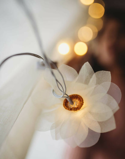 LED String Lights Orange Rose