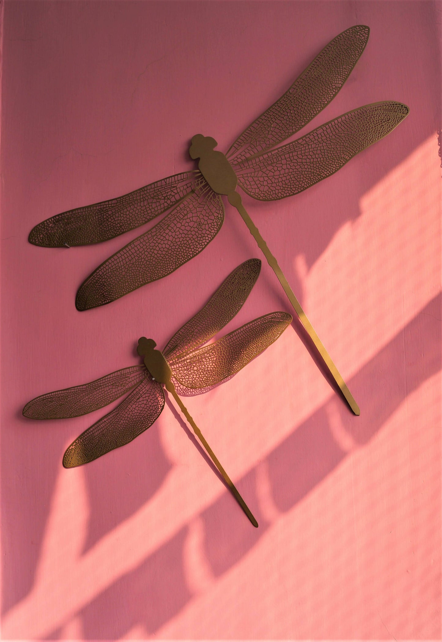 Dragon Fly Wall Decor