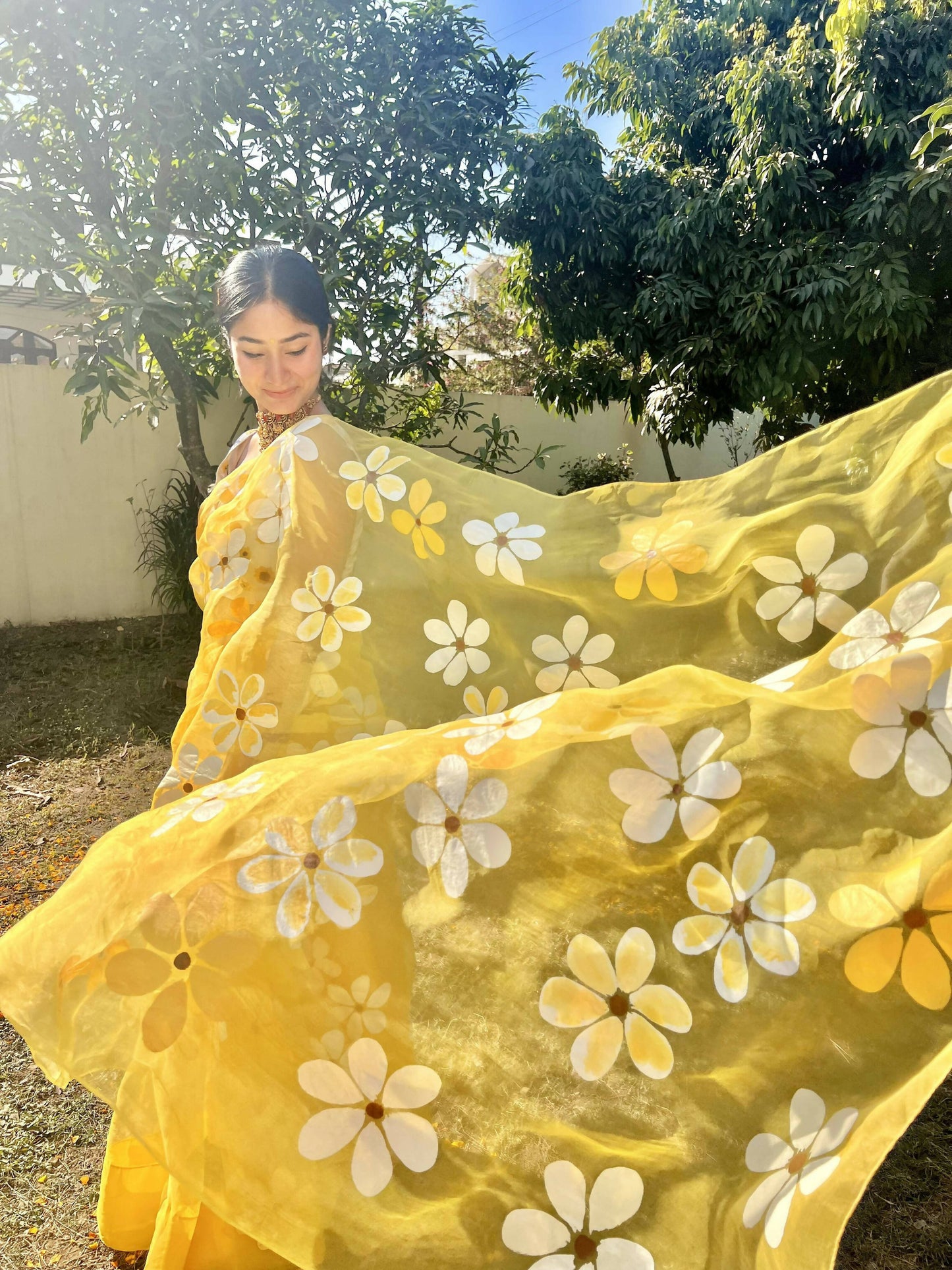 Daisy Organza Handpainted Yellow Saree