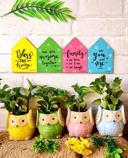 Owl Planters + Wooden Huts