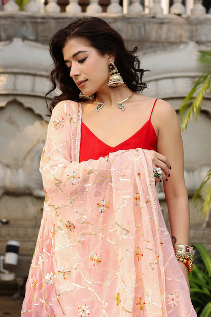 Medha Chiffon Anarkali Set