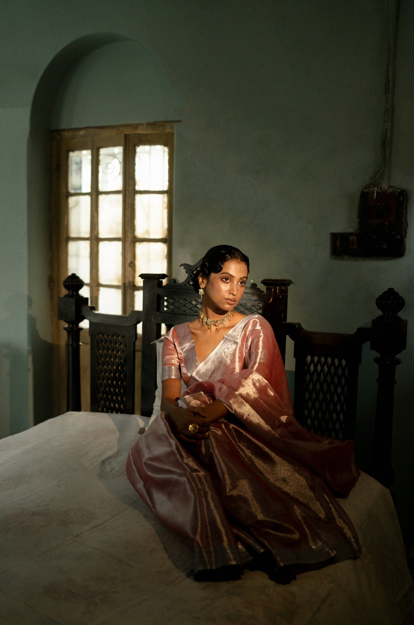 Glory To The Crown Handwoven Mulberry Silk Tissue Saree