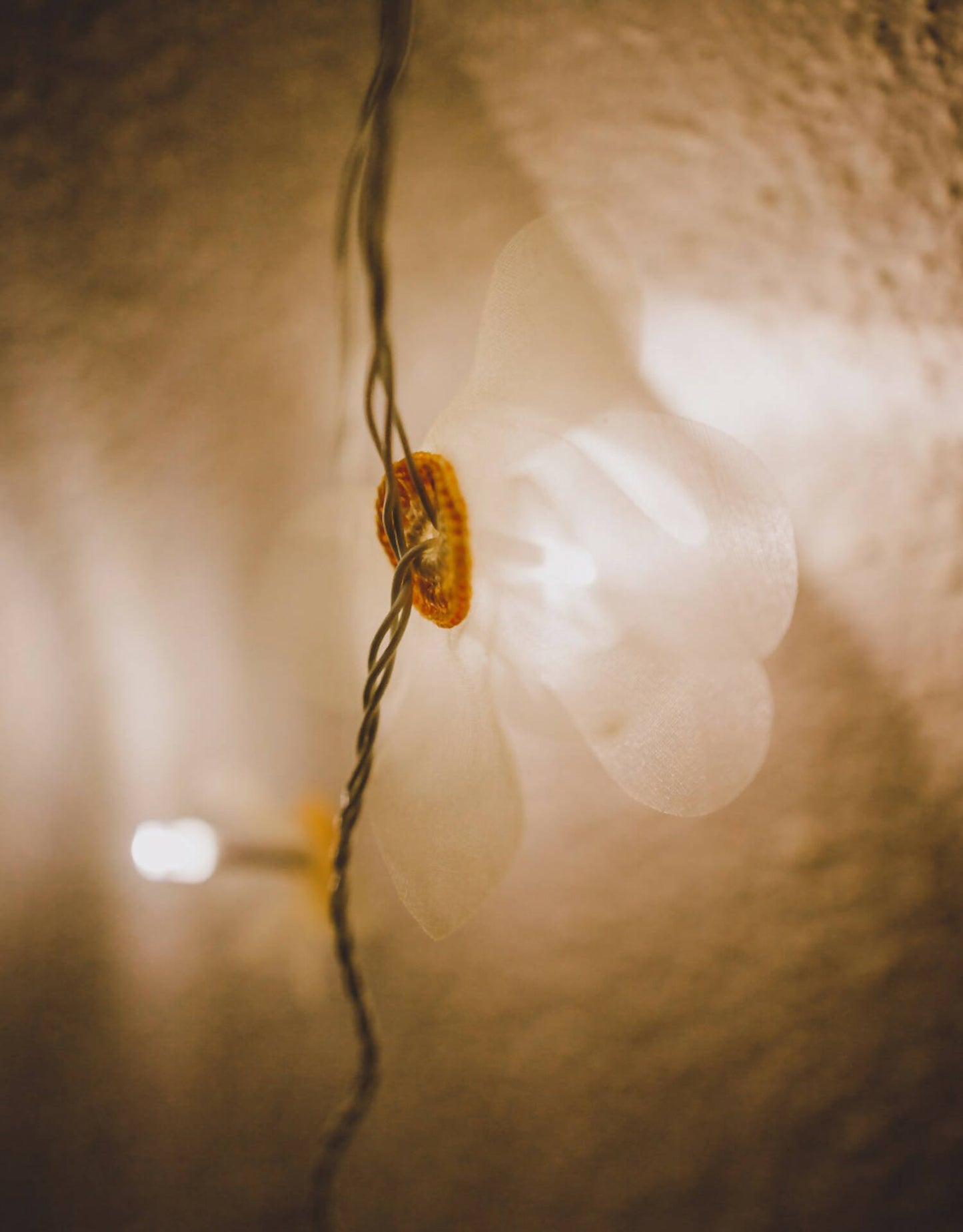 LED String Lights Orange Rose