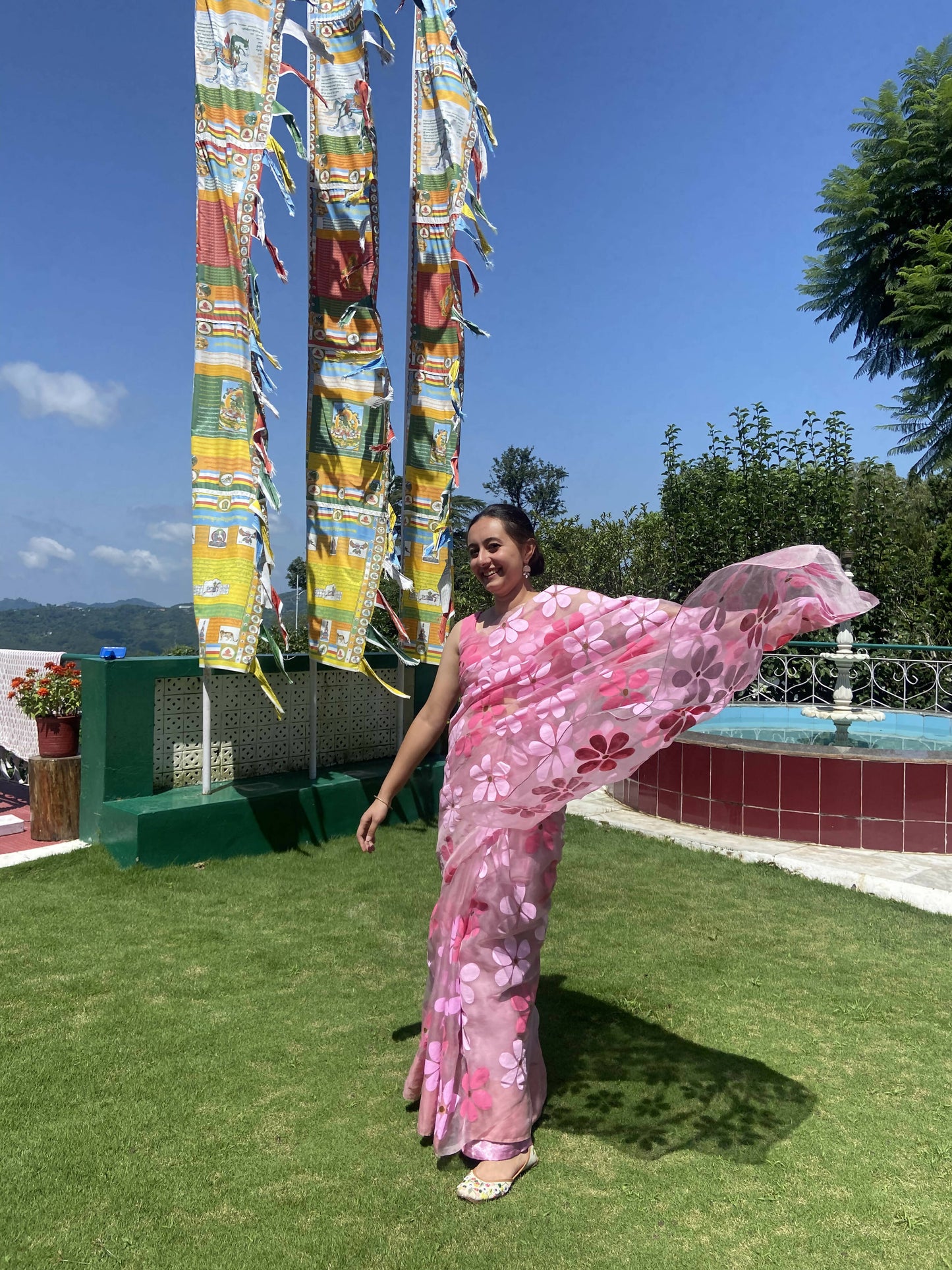 Riko- Pink Handpainted Organza Saree