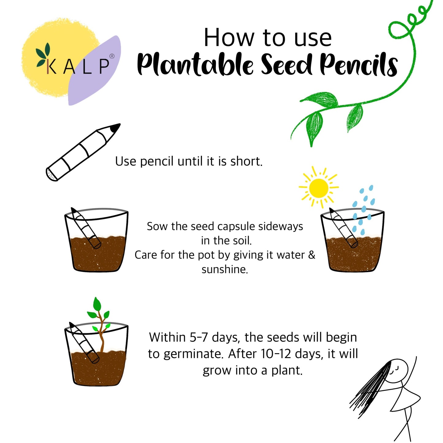 Plantable Seed Pencil
