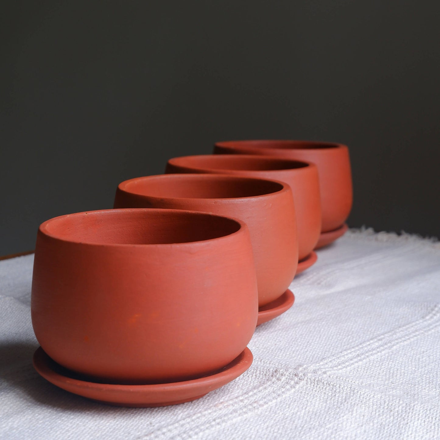 Ivy Terracotta Planters- Set of 4