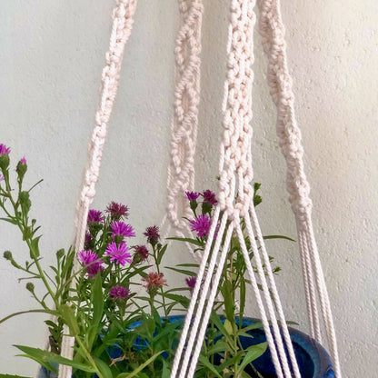 Pearl Plant Hanger