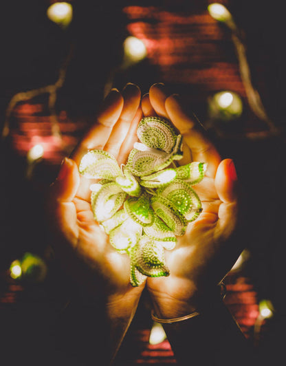 LED String Lights Green Lily Bougainvillea