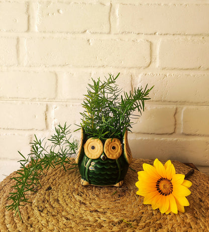 Ceramic Owl Planter