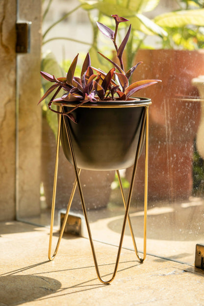 Planter Black Matte with Gold Tripod