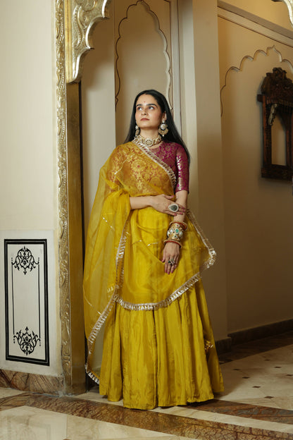 Kaushiki Lehenga