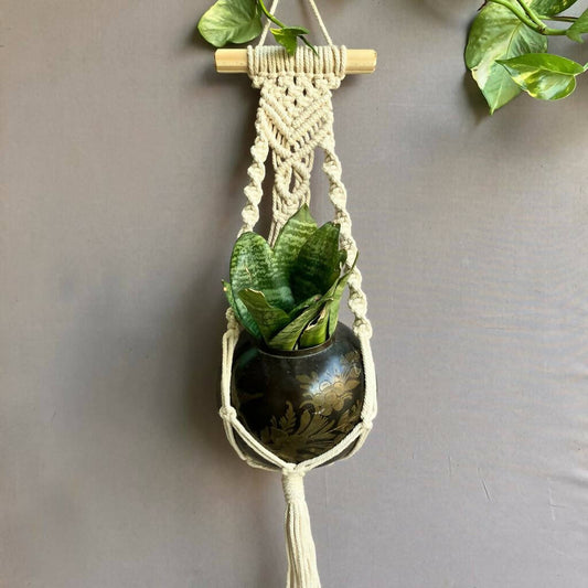 Sapling of Love Plant Hanger