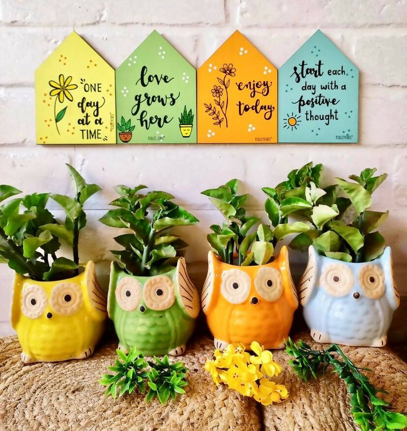 Owl Planters + Wooden Huts