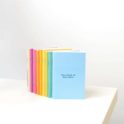 Pastel Pocket Notebooks / Set of 10